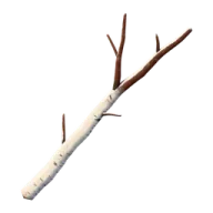 Birch twig arms