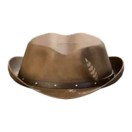 Cowboy hat
