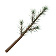 Pine branch arms